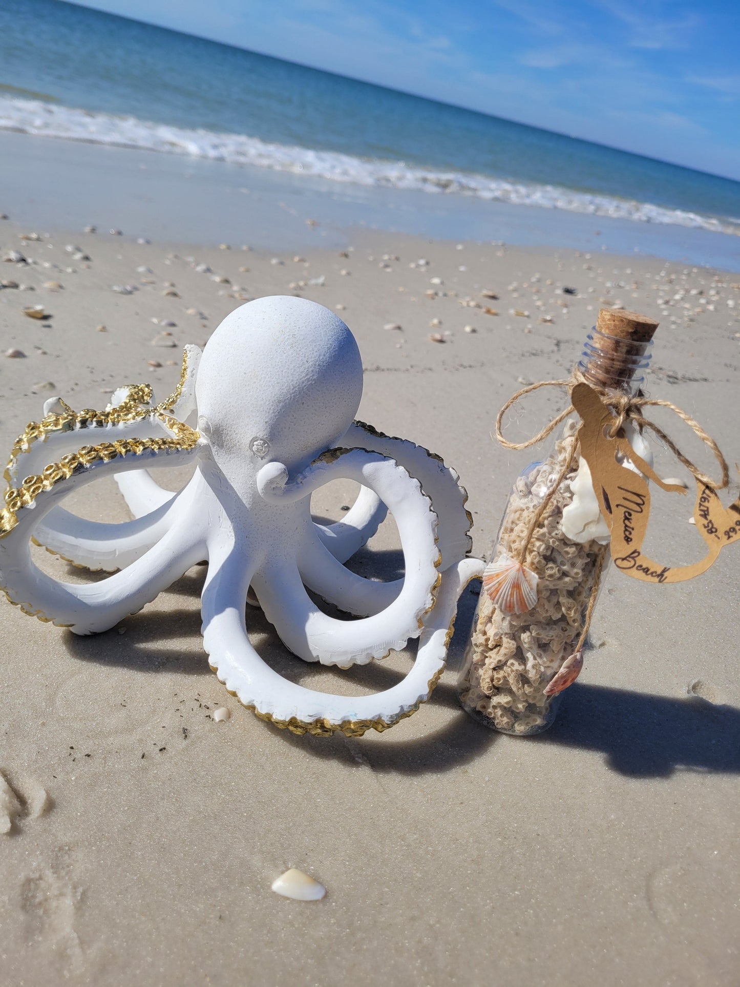 Coastal Elegant Decor: 6.5" Clear Plastic Bottle w/ Hand-Picked Shells & Coral from Mexico Beach, FL – Ocean-Themed Charm with Exclusive Mexico Beach Coordinates Tag