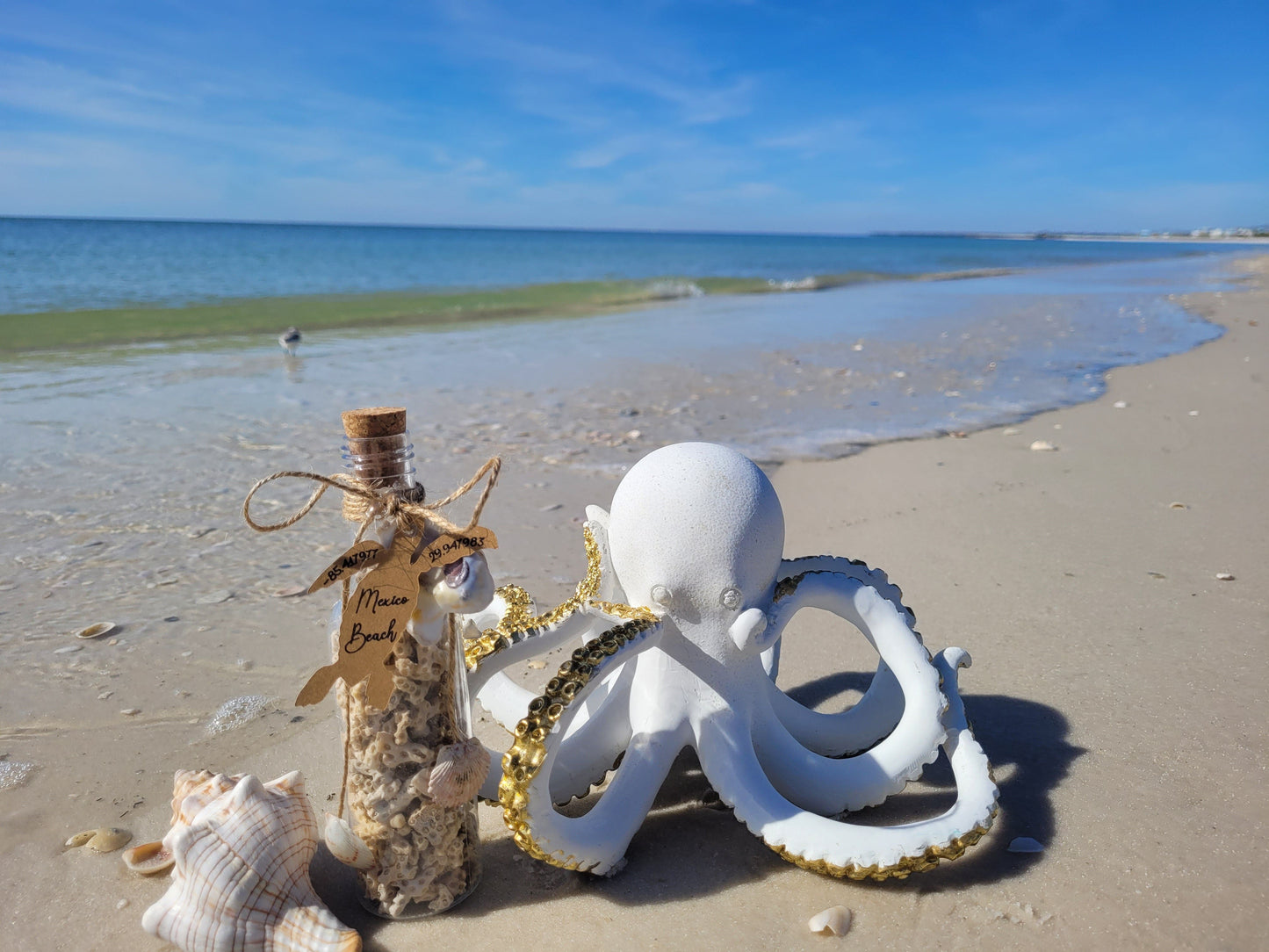 Coastal Elegant Decor: 6.5" Clear Plastic Bottle w/ Hand-Picked Shells & Coral from Mexico Beach, FL – Ocean-Themed Charm with Exclusive Mexico Beach Coordinates Tag
