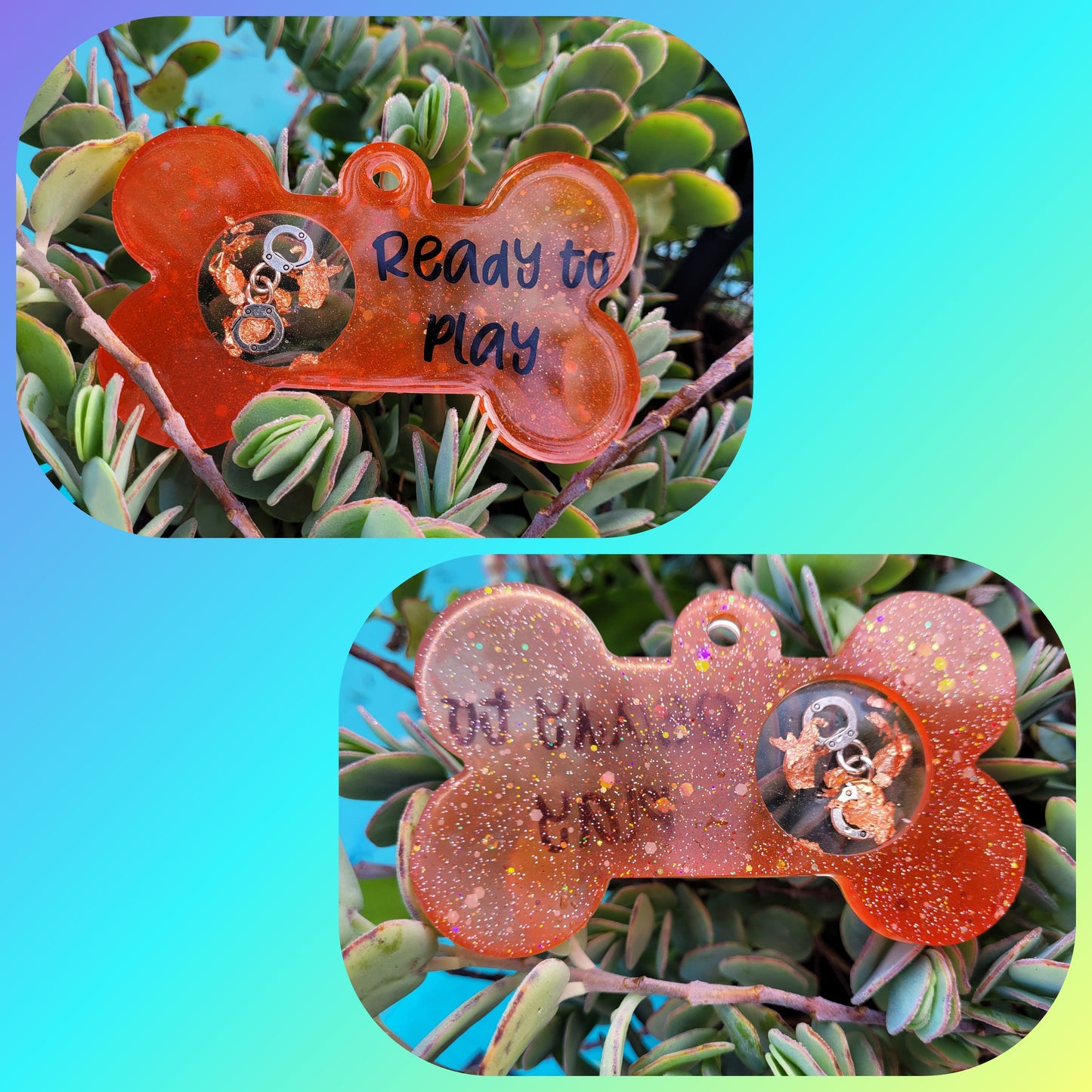 Dog Bone Pet Name w/ Circle 4 1/2in X 2 3/4in