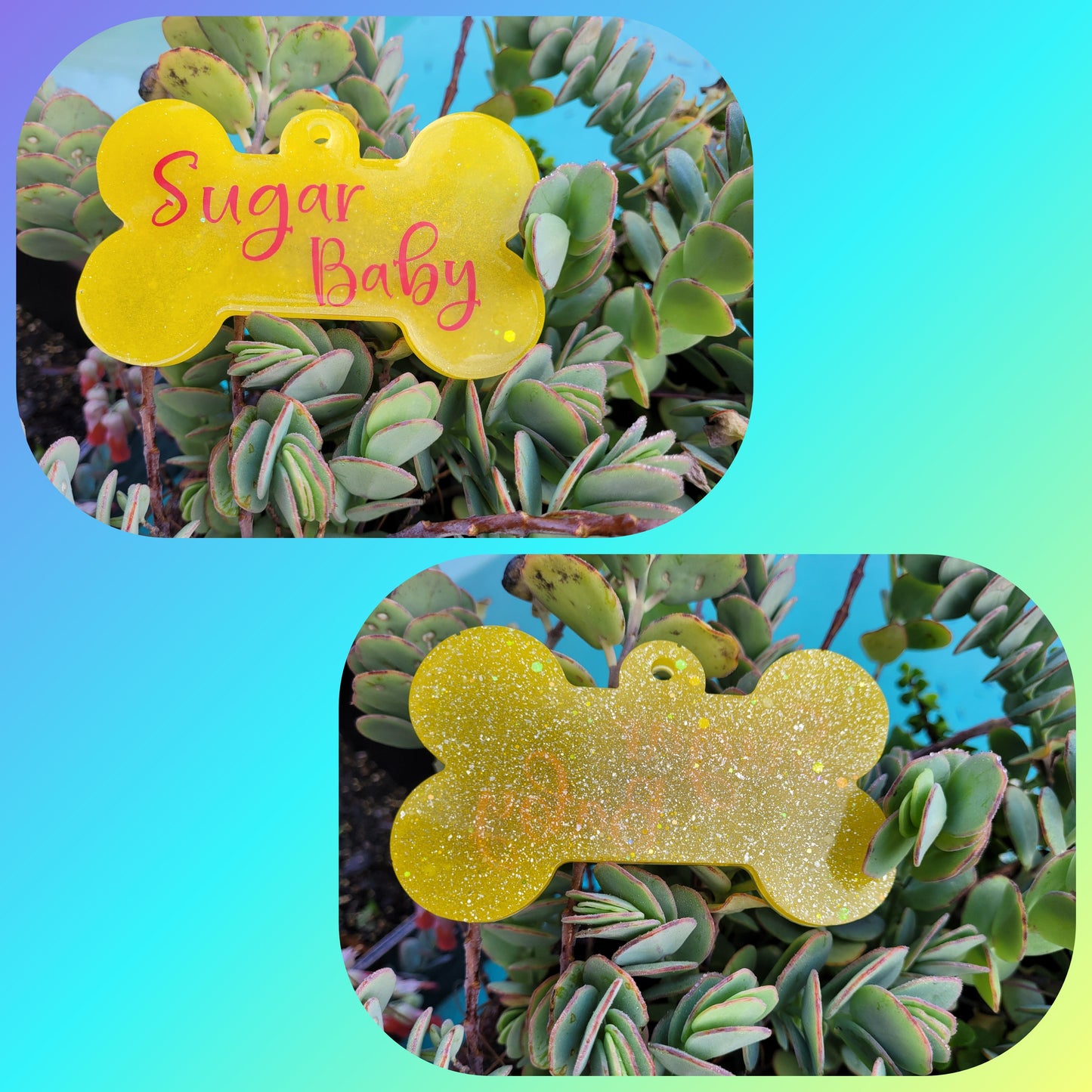 Dog Bone Pet Name Tag 4 3/4in X 3in