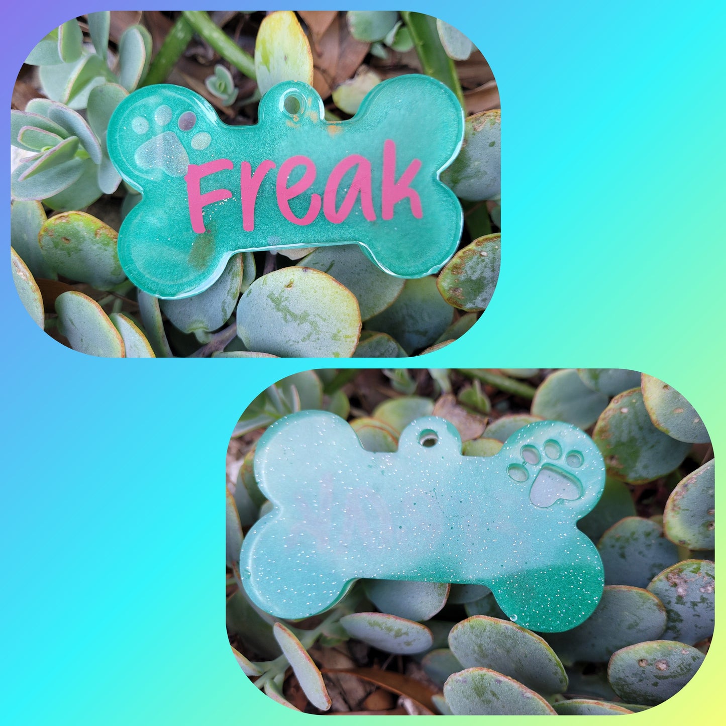 Dog Bone Pet Name w/ Paw Print 3 1/2in X 2in