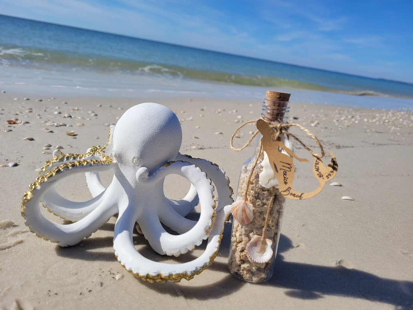 Coastal Elegant Decor: 6.5" Clear Plastic Bottle w/ Hand-Picked Shells & Coral from Mexico Beach, FL – Ocean-Themed Charm with Exclusive Mexico Beach Coordinates Tag
