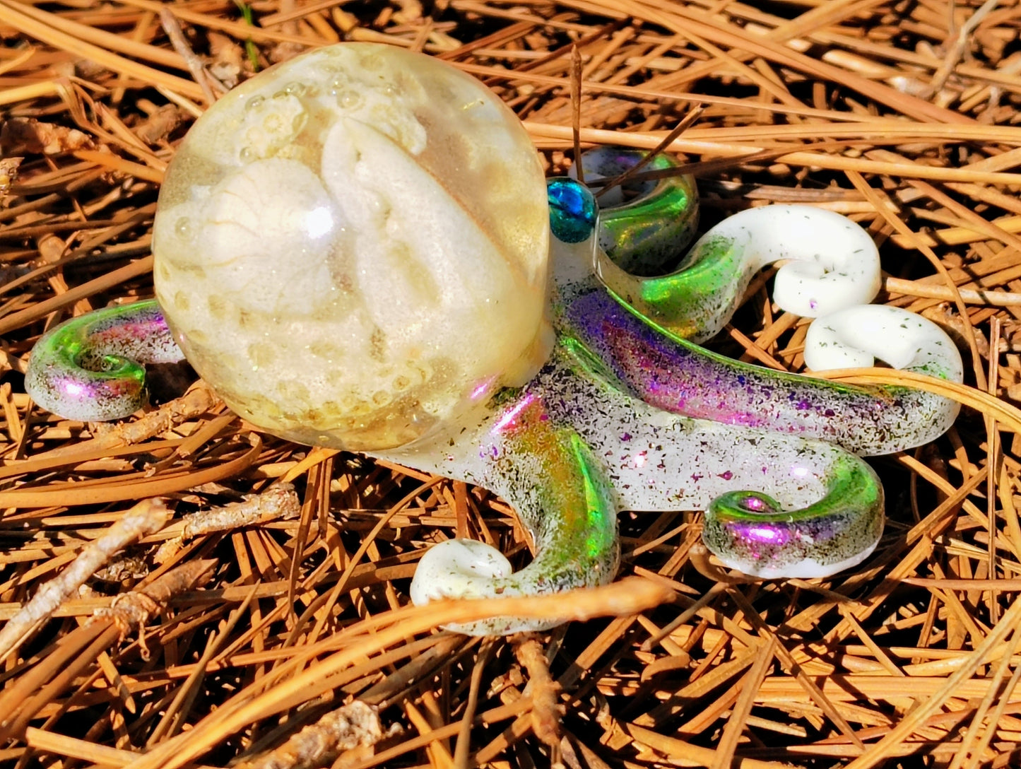 Artisan Hand Crafted Epoxy Resin Beach Head  Octopus Decor - Accent - Knick Knack - Paper Weight