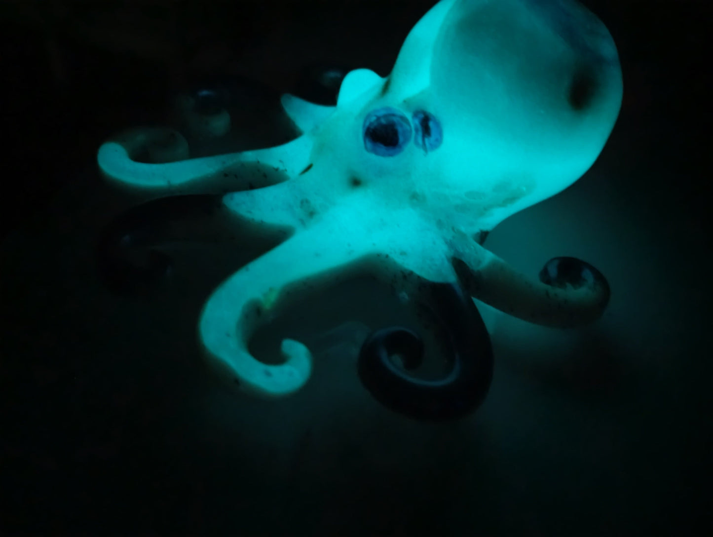 Glowing Hand Crafted Epoxy Resin Octopus Decor - Accent - Knick Knack - Paper Weight