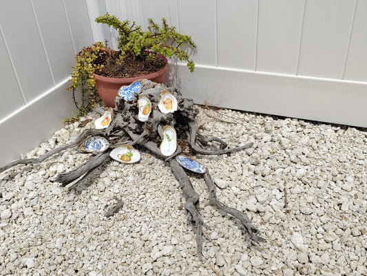 Artisan Oyster & Seashshell Coastal Decor - Ring Tray - Trinket Dish - Accent Piece