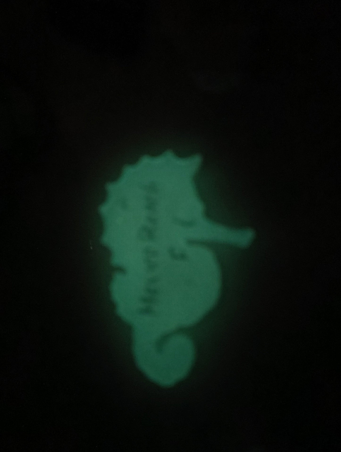 Glow in the Dark Seahorse Resin Keychain