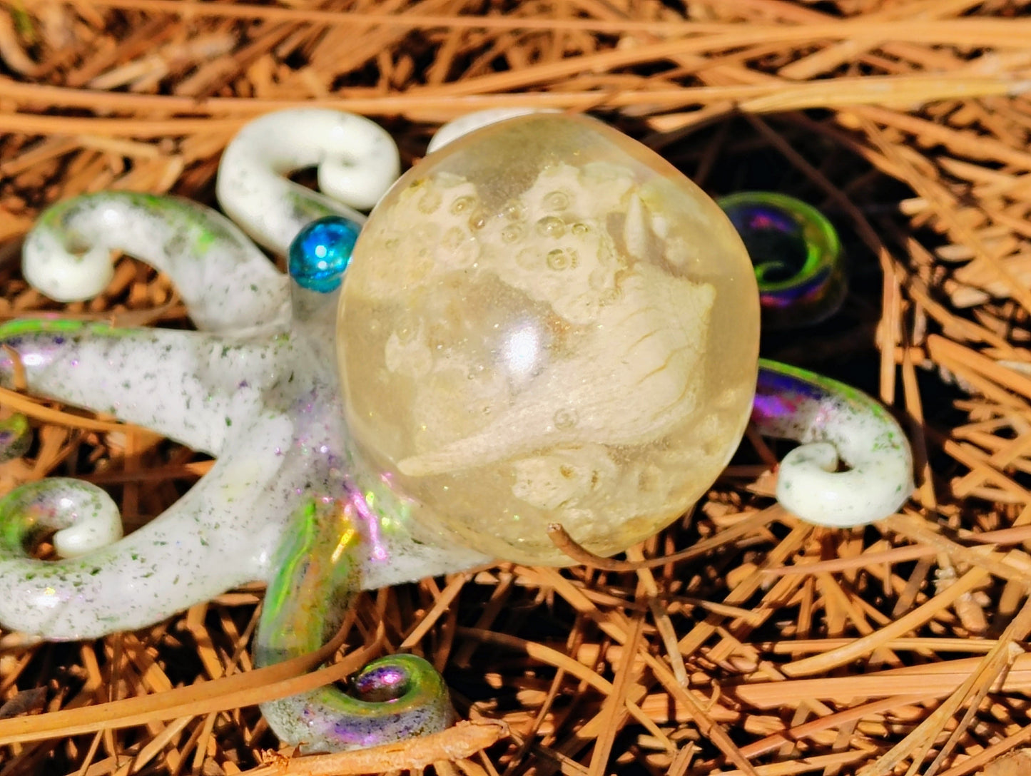 Artisan Hand Crafted Epoxy Resin Beach Head  Octopus Decor - Accent - Knick Knack - Paper Weight