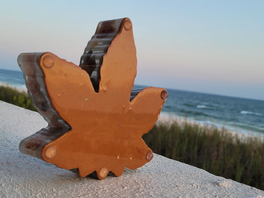 Herb cigarettes cigar smoker Ashtray - trinket dish - Scallop Sea Shell Shark *Glow in the Dark*